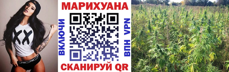 Бошки марихуана сатива  Мосальск 